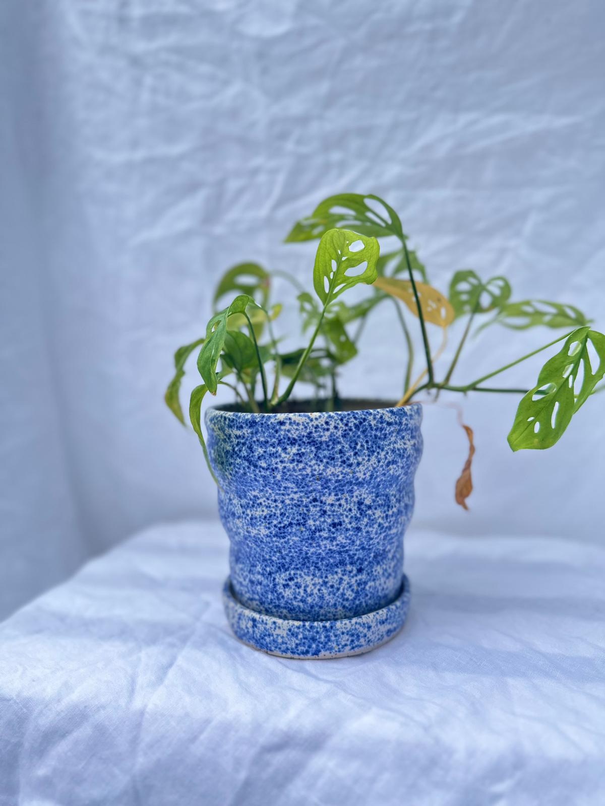 Blue Speckled Bubble Plant Pot