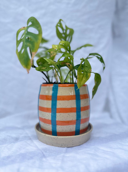 Orange & Blue Stripe Planter